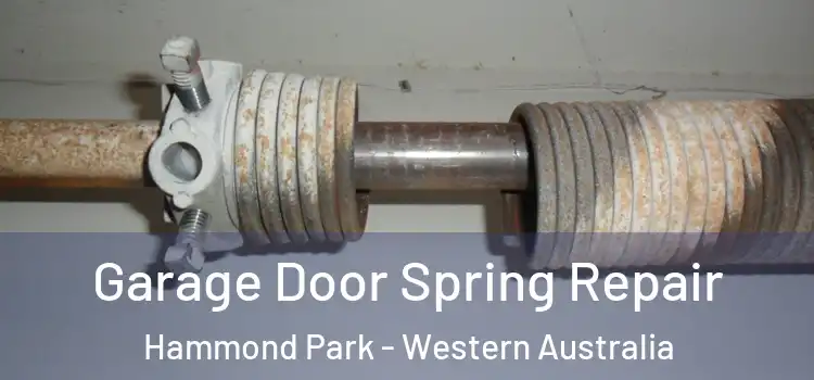 Garage Door Spring Repair Hammond Park - Western Australia