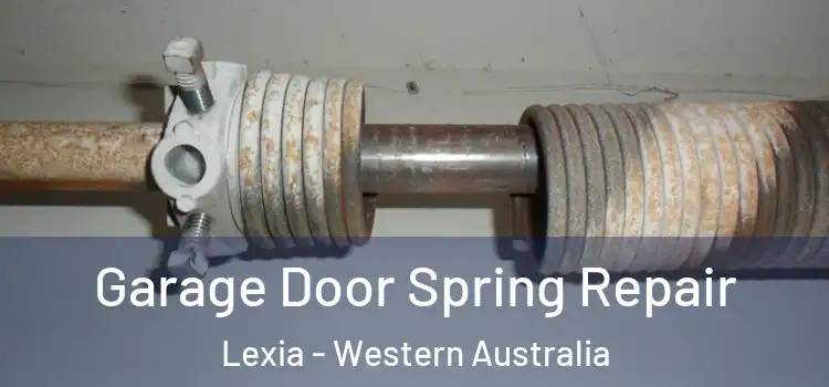 Garage Door Spring Repair Lexia - Western Australia