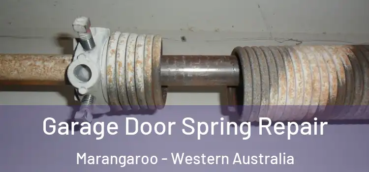 Garage Door Spring Repair Marangaroo - Western Australia