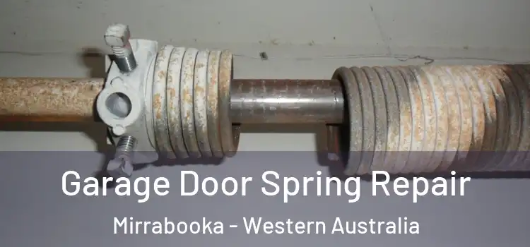 Garage Door Spring Repair Mirrabooka - Western Australia