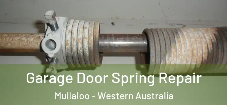 Garage Door Spring Repair Mullaloo - Western Australia