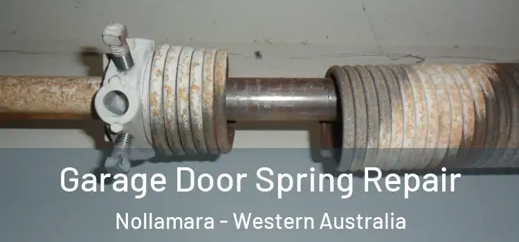 Garage Door Spring Repair Nollamara - Western Australia