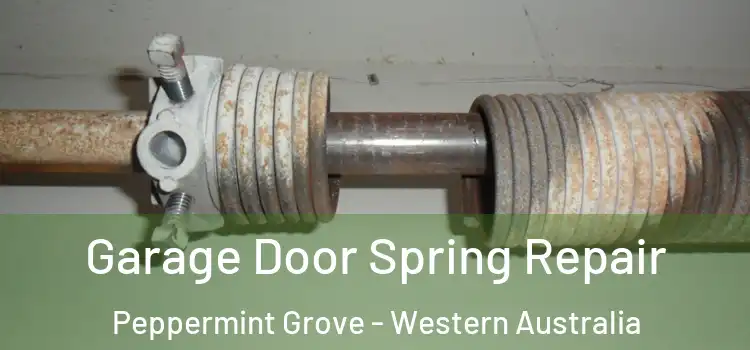 Garage Door Spring Repair Peppermint Grove - Western Australia