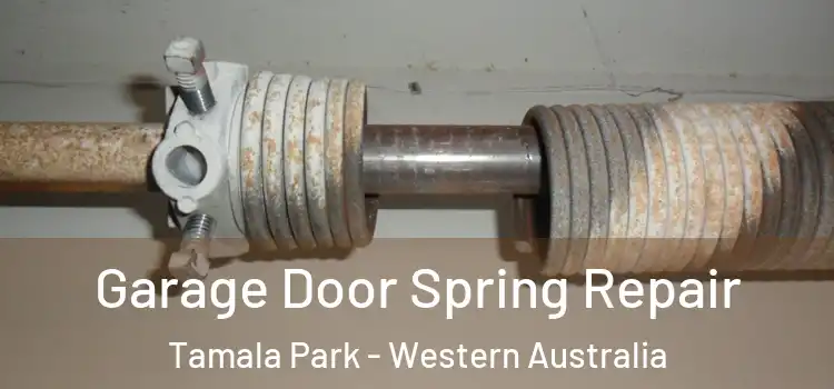 Garage Door Spring Repair Tamala Park - Western Australia