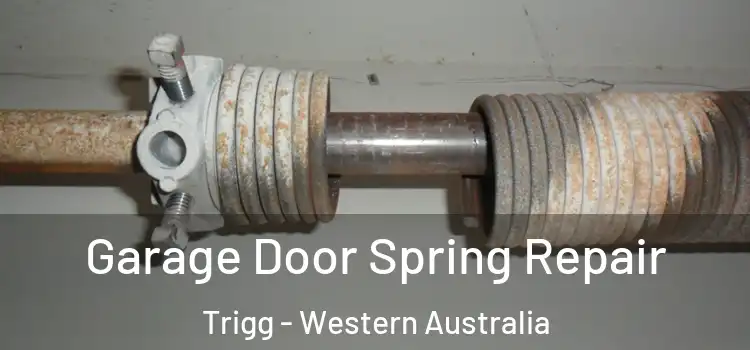 Garage Door Spring Repair Trigg - Western Australia