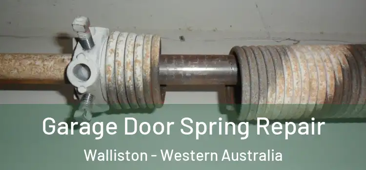 Garage Door Spring Repair Walliston - Western Australia