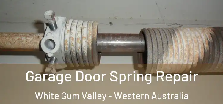 Garage Door Spring Repair White Gum Valley - Western Australia