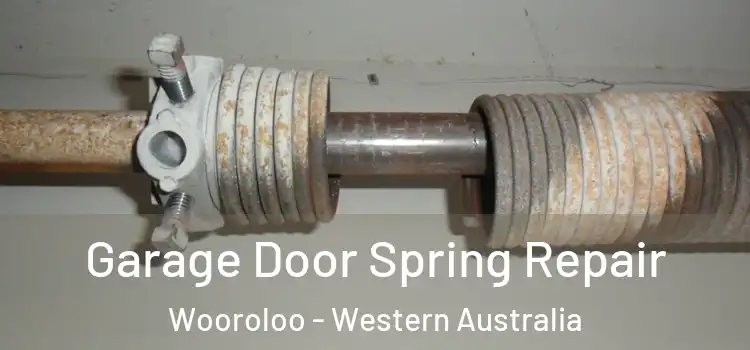 Garage Door Spring Repair Wooroloo - Western Australia