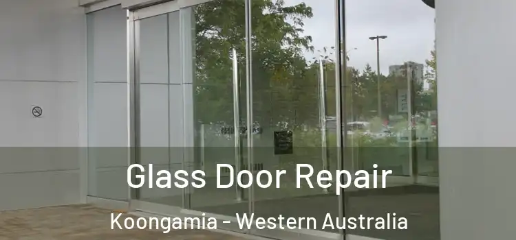 Glass Door Repair Koongamia - Western Australia