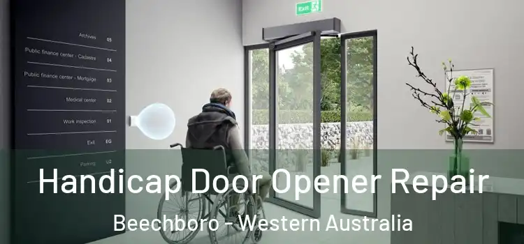 Handicap Door Opener Repair Beechboro - Western Australia