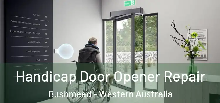 Handicap Door Opener Repair Bushmead - Western Australia