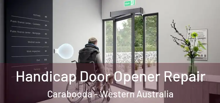Handicap Door Opener Repair Carabooda - Western Australia