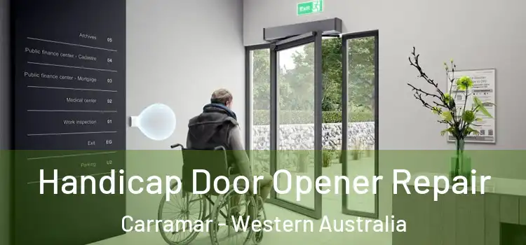 Handicap Door Opener Repair Carramar - Western Australia