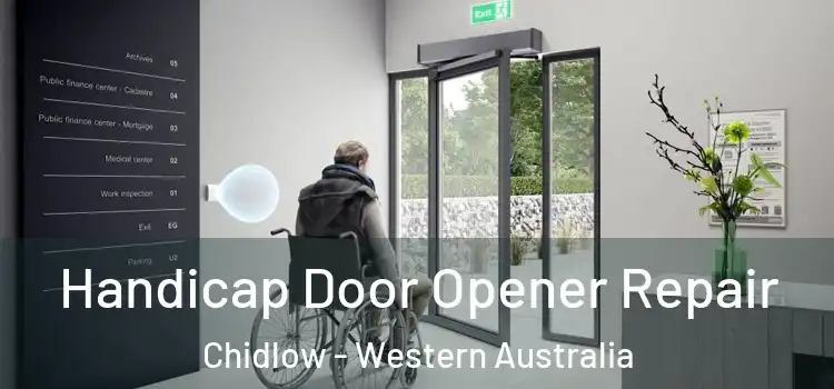Handicap Door Opener Repair Chidlow - Western Australia