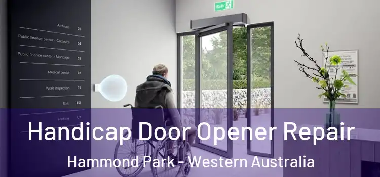 Handicap Door Opener Repair Hammond Park - Western Australia