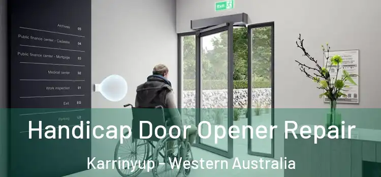 Handicap Door Opener Repair Karrinyup - Western Australia