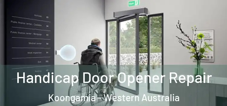 Handicap Door Opener Repair Koongamia - Western Australia