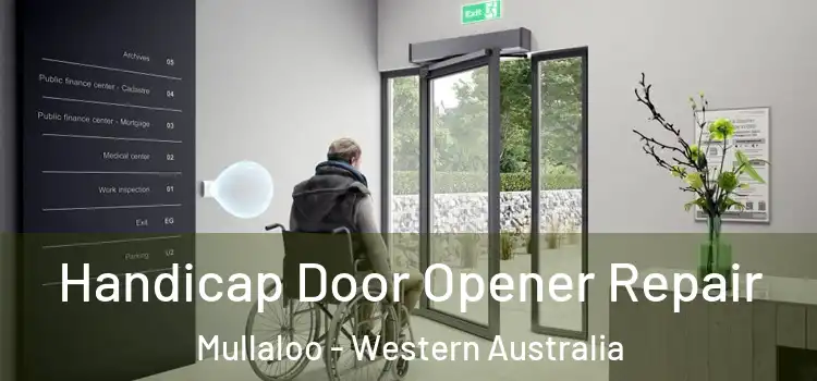 Handicap Door Opener Repair Mullaloo - Western Australia