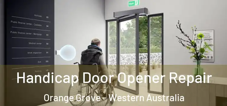 Handicap Door Opener Repair Orange Grove - Western Australia