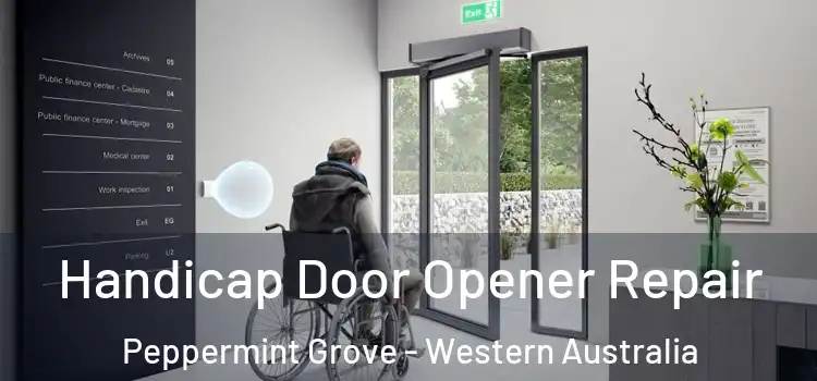 Handicap Door Opener Repair Peppermint Grove - Western Australia