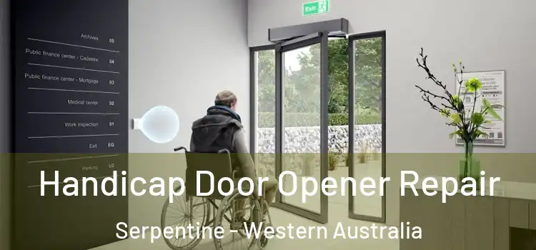Handicap Door Opener Repair Serpentine - Western Australia