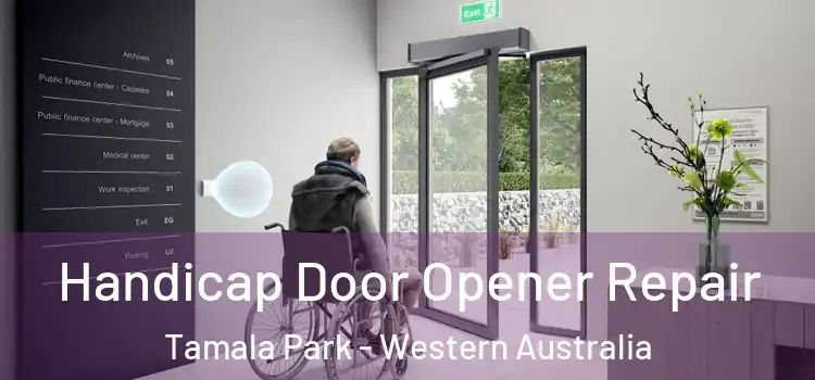Handicap Door Opener Repair Tamala Park - Western Australia