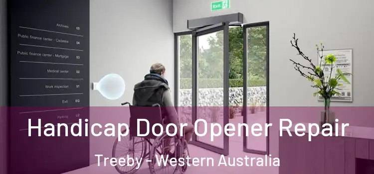 Handicap Door Opener Repair Treeby - Western Australia