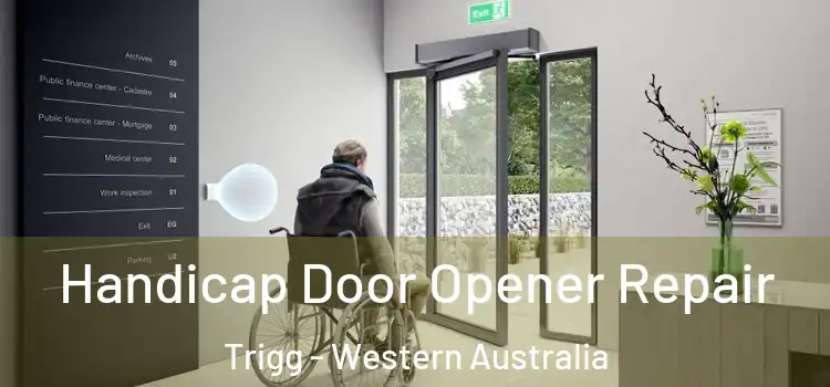 Handicap Door Opener Repair Trigg - Western Australia