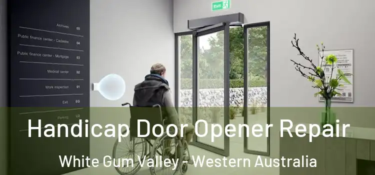 Handicap Door Opener Repair White Gum Valley - Western Australia