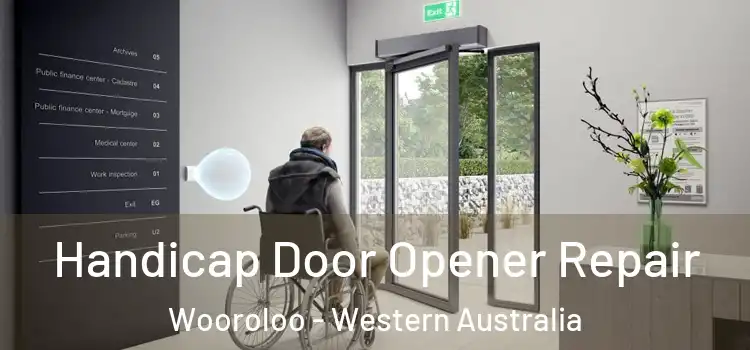 Handicap Door Opener Repair Wooroloo - Western Australia