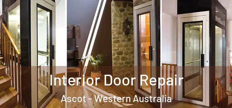 Interior Door Repair Ascot - Western Australia