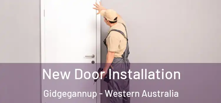 New Door Installation Gidgegannup - Western Australia