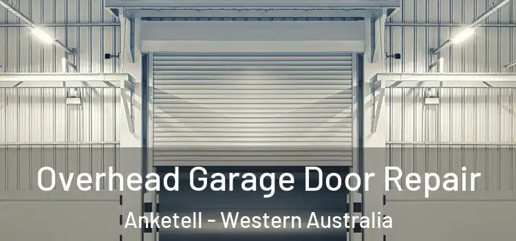 Overhead Garage Door Repair Anketell - Western Australia