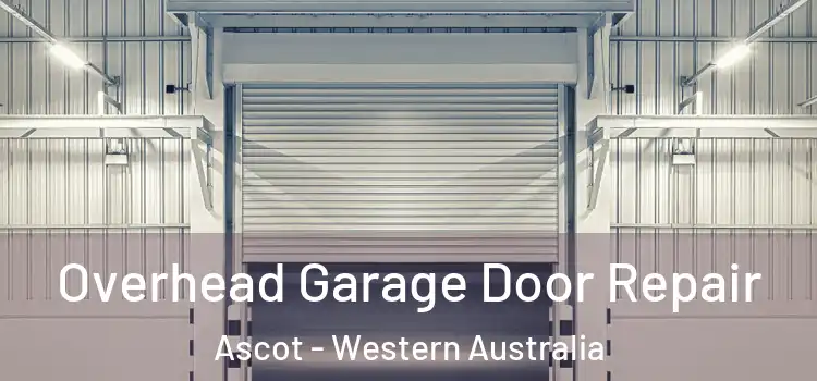 Overhead Garage Door Repair Ascot - Western Australia