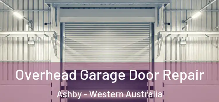 Overhead Garage Door Repair Ashby - Western Australia