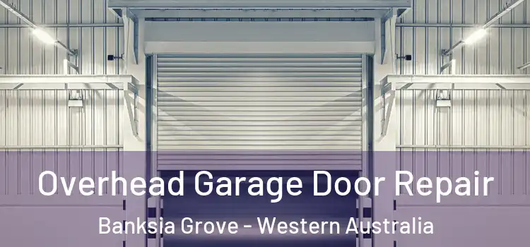 Overhead Garage Door Repair Banksia Grove - Western Australia