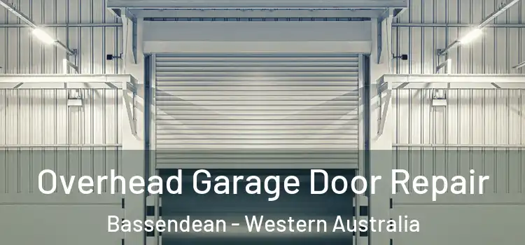 Overhead Garage Door Repair Bassendean - Western Australia