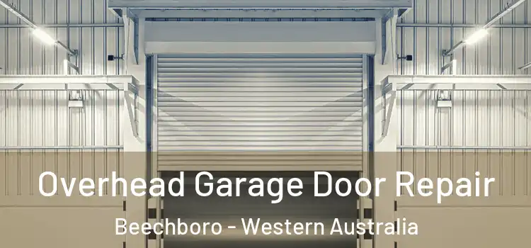 Overhead Garage Door Repair Beechboro - Western Australia