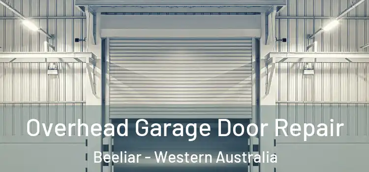 Overhead Garage Door Repair Beeliar - Western Australia