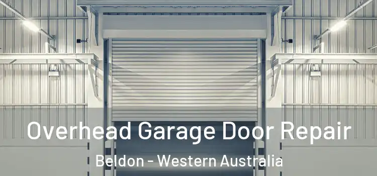 Overhead Garage Door Repair Beldon - Western Australia