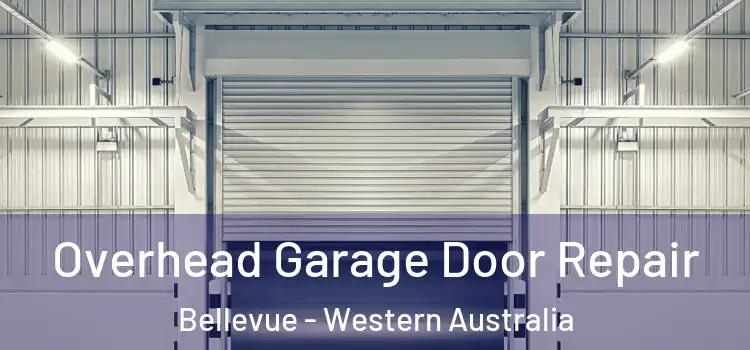 Overhead Garage Door Repair Bellevue - Western Australia