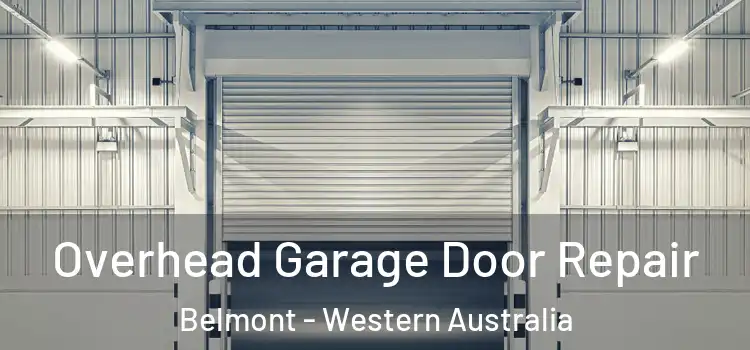 Overhead Garage Door Repair Belmont - Western Australia