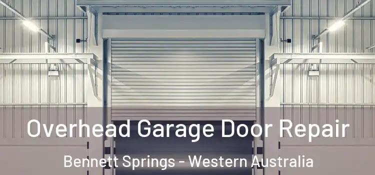 Overhead Garage Door Repair Bennett Springs - Western Australia