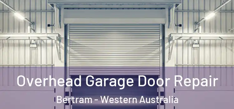 Overhead Garage Door Repair Bertram - Western Australia