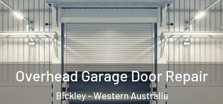 Overhead Garage Door Repair Bickley - Western Australia