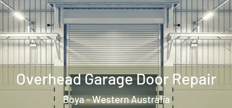 Overhead Garage Door Repair Boya - Western Australia
