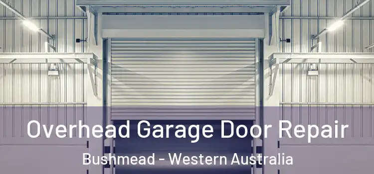 Overhead Garage Door Repair Bushmead - Western Australia