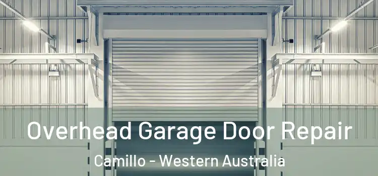 Overhead Garage Door Repair Camillo - Western Australia