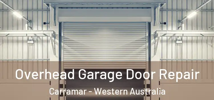Overhead Garage Door Repair Carramar - Western Australia