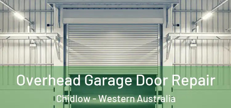 Overhead Garage Door Repair Chidlow - Western Australia